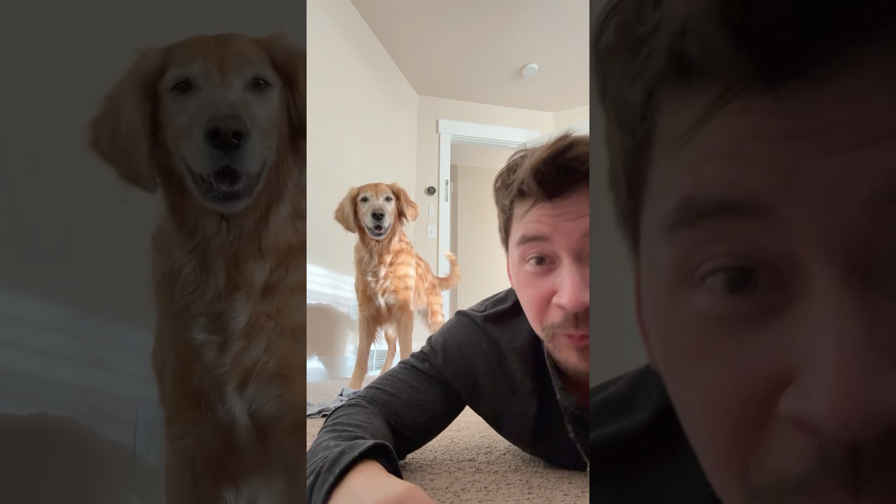 Nala woke up and chose chaos 🤣
