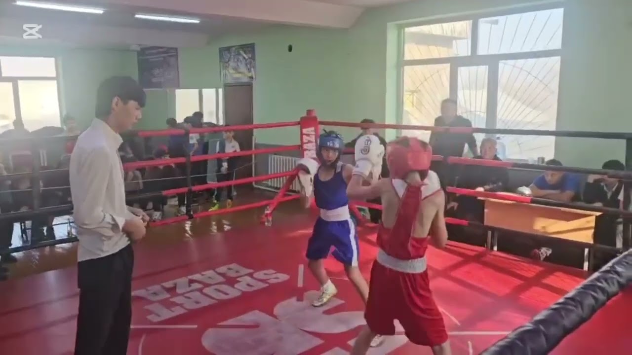 Синий угл 2025 год 1 место #рекомендации #foryou #boxing #sports #соревнования 