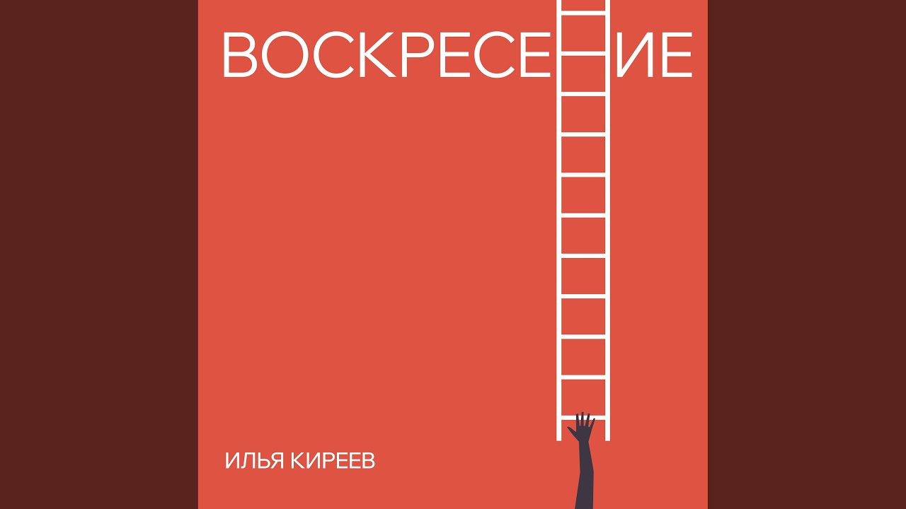Птицы