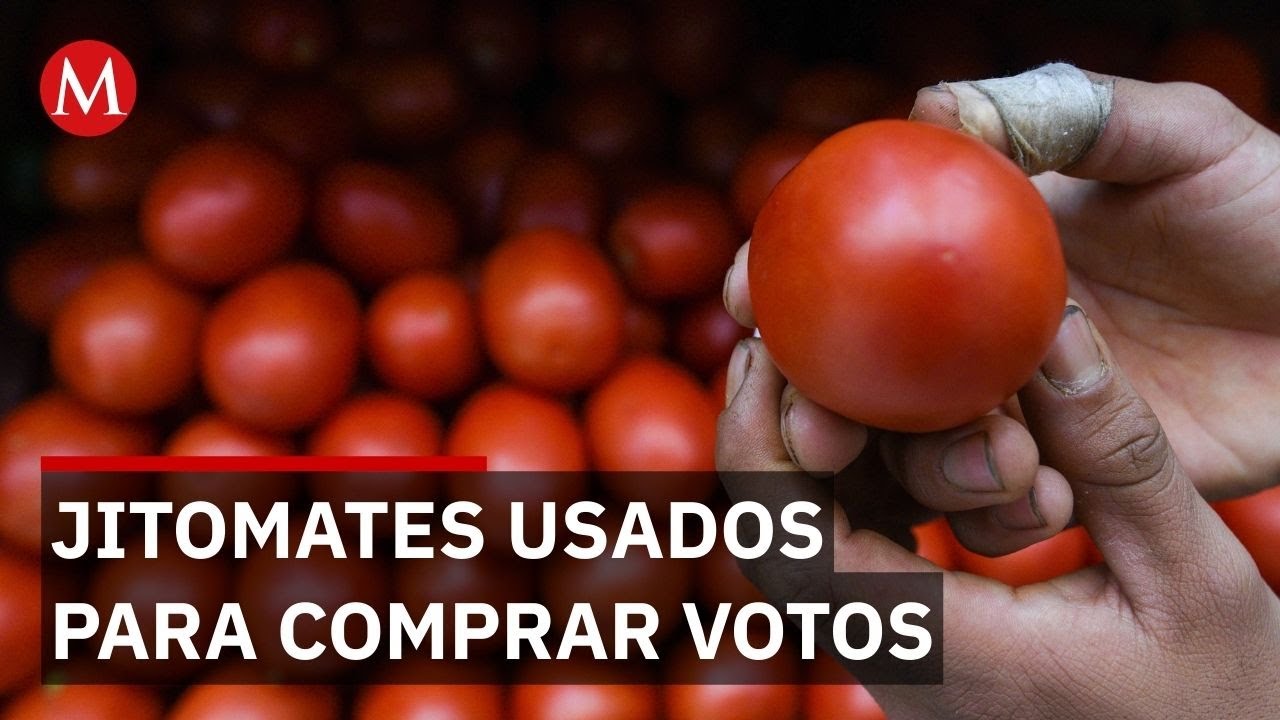 Video exhibe presunta afiliaci&oacute;n y compra de votos con jitomates ligada a Morena en Hidalgo