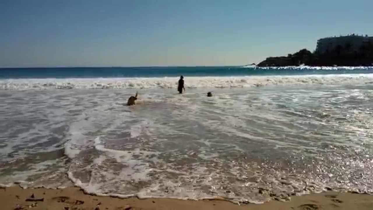 Ibiza Reise