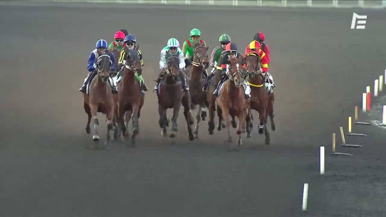 ISLAMORADA BRILLE DANS LE PRIX DU CALVADOS - CORNULIER RACES Q3 (GR.2) À VINCENNES