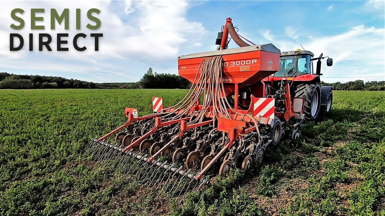 Semis direct d’une orge sous couvert d’une luzerne - 2020