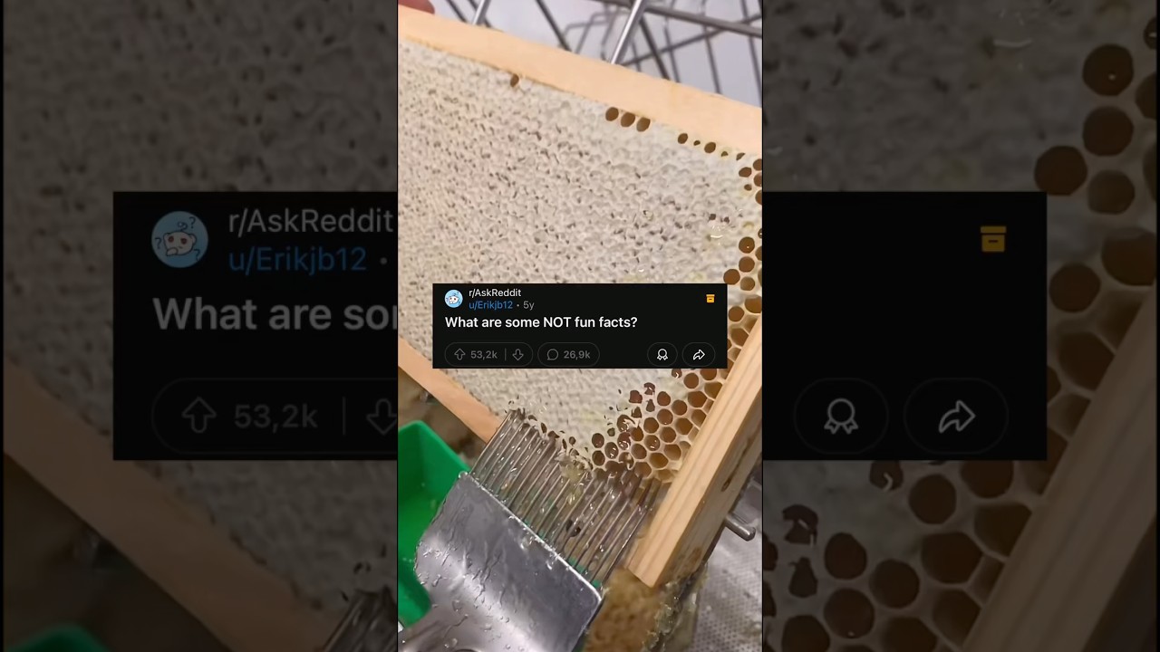 Hahah #aita #reddit #aitaupdate #oddlysatisfying #aitareddit