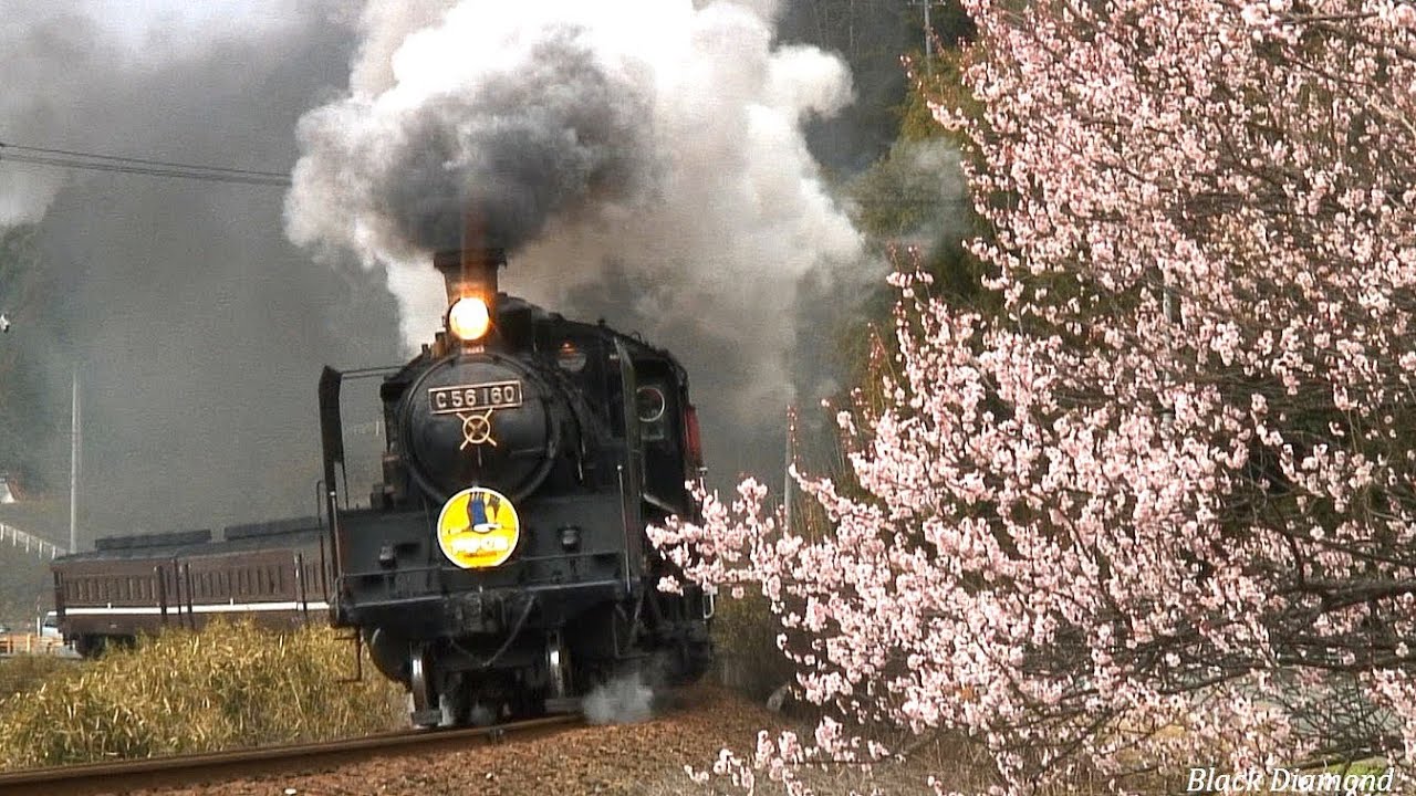 SLやまぐち号 & DLやまぐち号　2014年ファーストラン