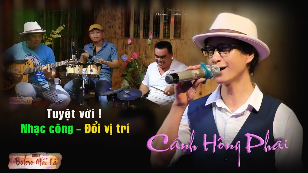 Cánh Hồng Phai | Bất ngờ nhạc công Bolero mái lá đổi vị trí | Phú Dalat hát