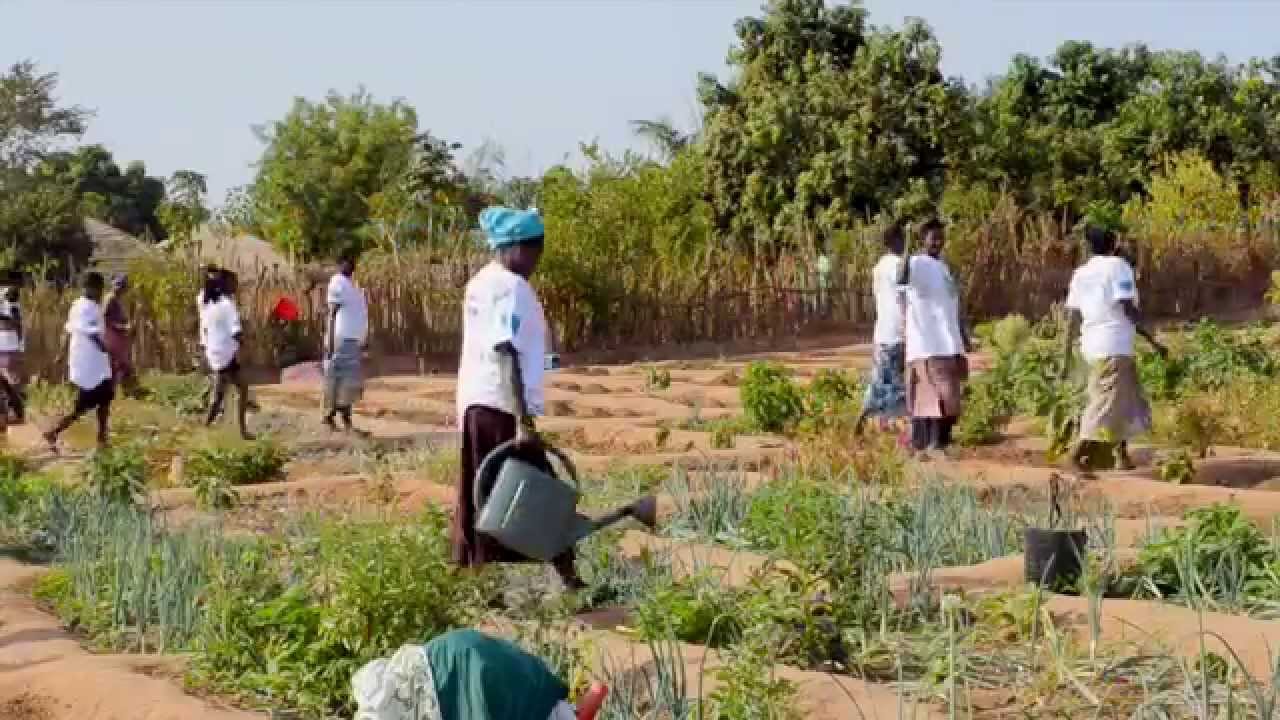 Our Climate, Our Challenge. Guinea-Bissau