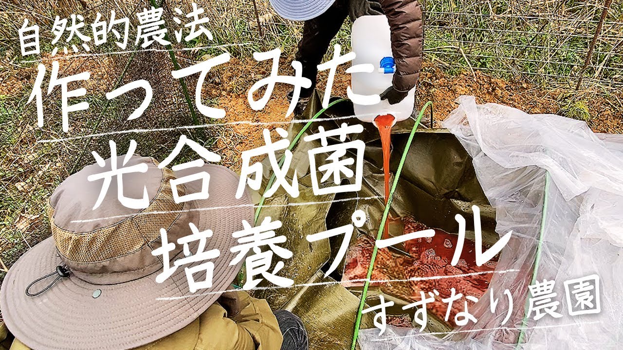【全行程お見せします】光合成細菌の培養プールを畑「戊」につくってみました！vol.184【自然的農法】