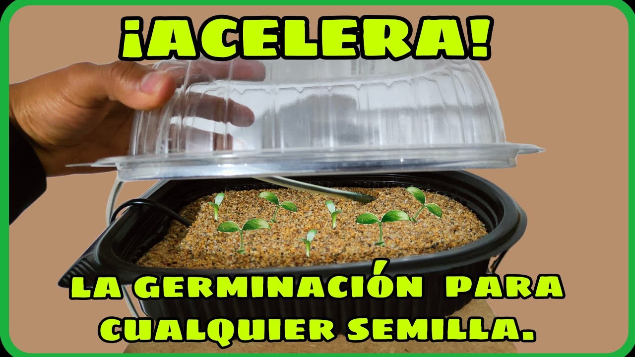 Germina semillas más rápido, como hacer una cama térmica para germinar semillas