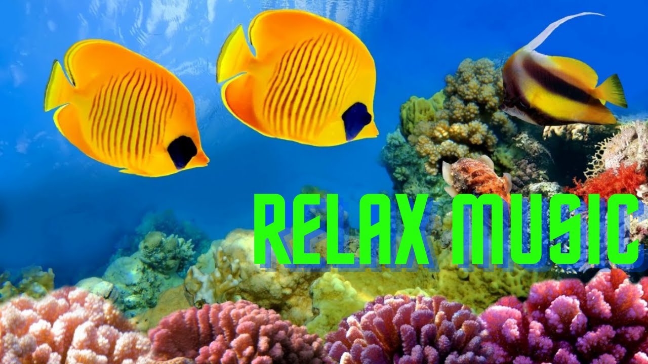 Aquarium Relax Music,  Relaxing Ocean Fish / морские рыбки