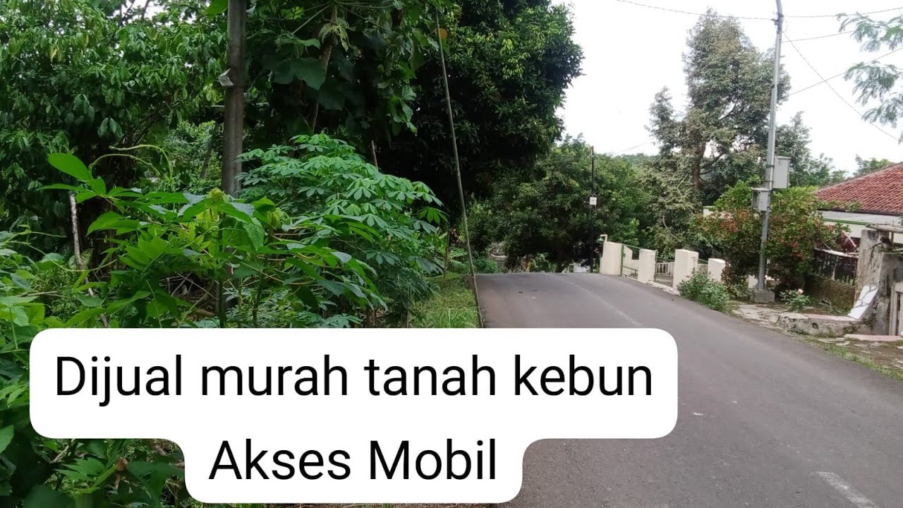 Dijual murah tanah kebun akses mobil, info hub .087809965332 / Yudi.