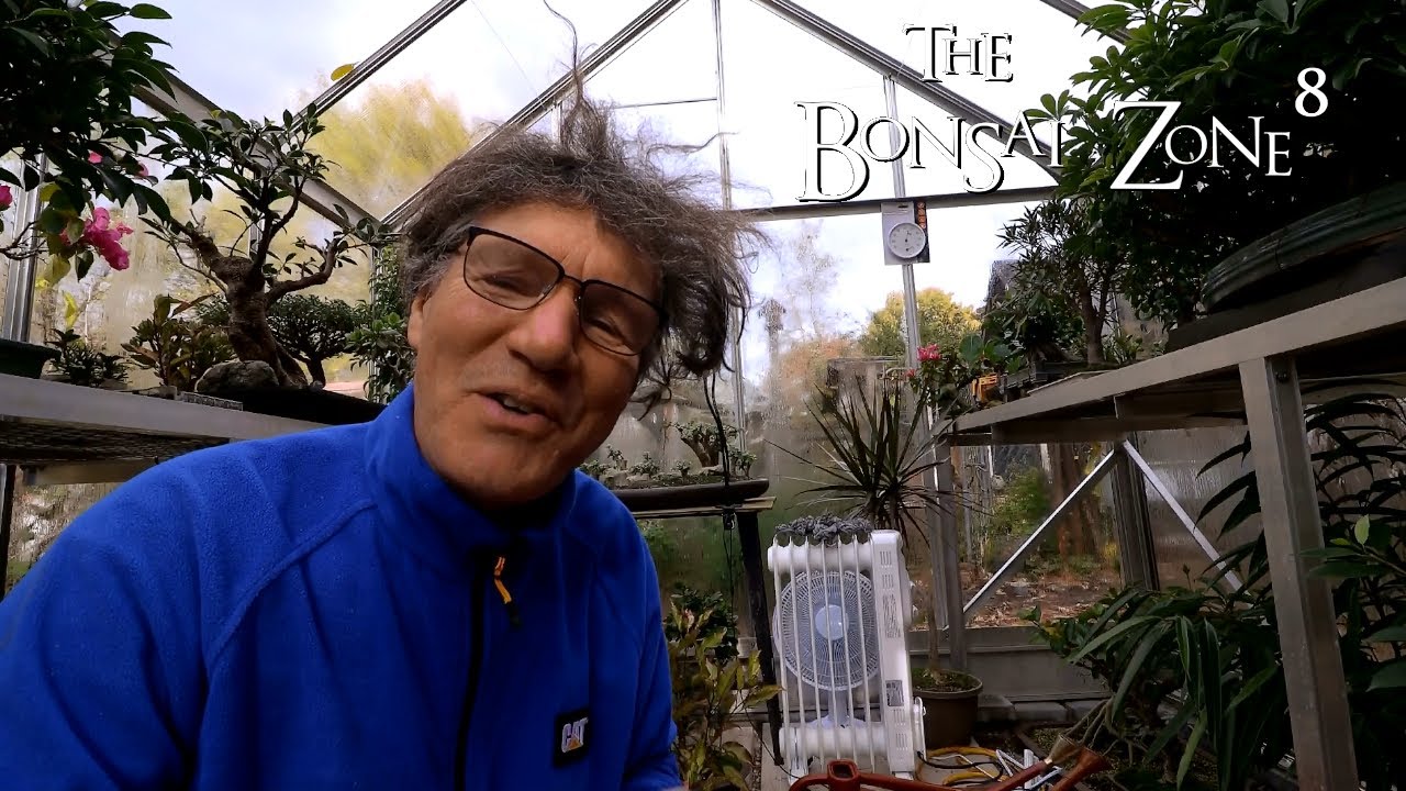 Sealing Up the Glass Greenhouse, The Bonsai Zone, Nov 2021