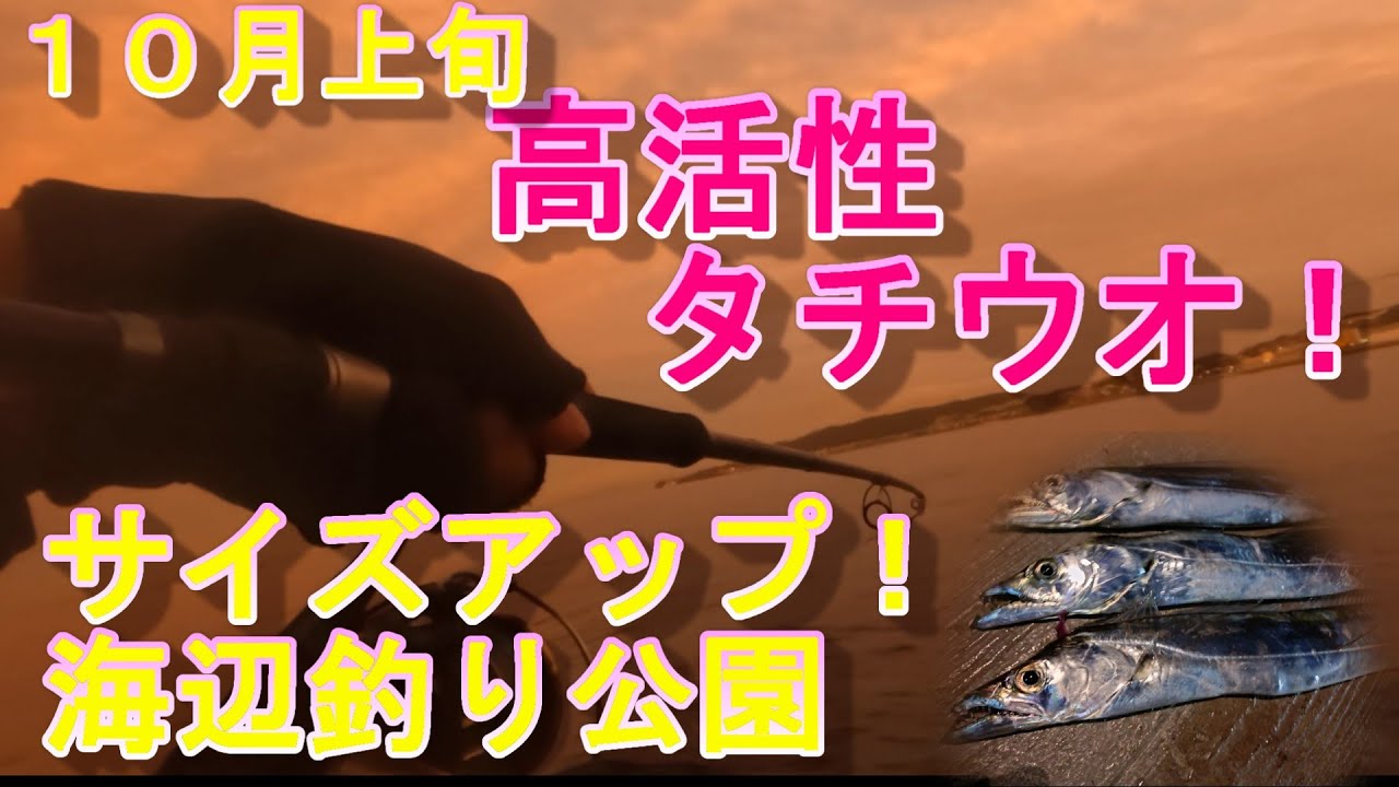 【海辺釣り公園】高活性タチウオサイズアップ10月上旬