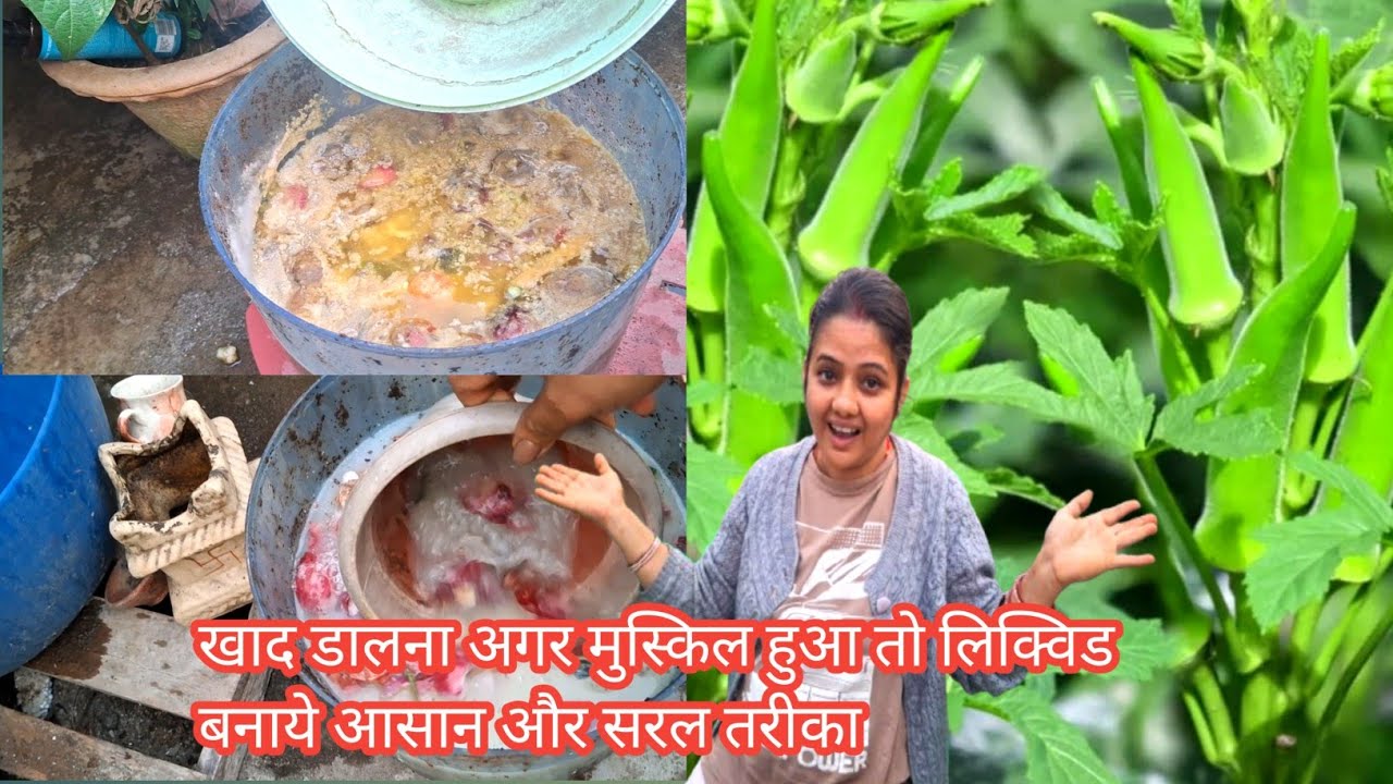 खाद डालना अगर मुस्किल हुआ तो लिक्विड बनाए सरल और आसान तरीका 