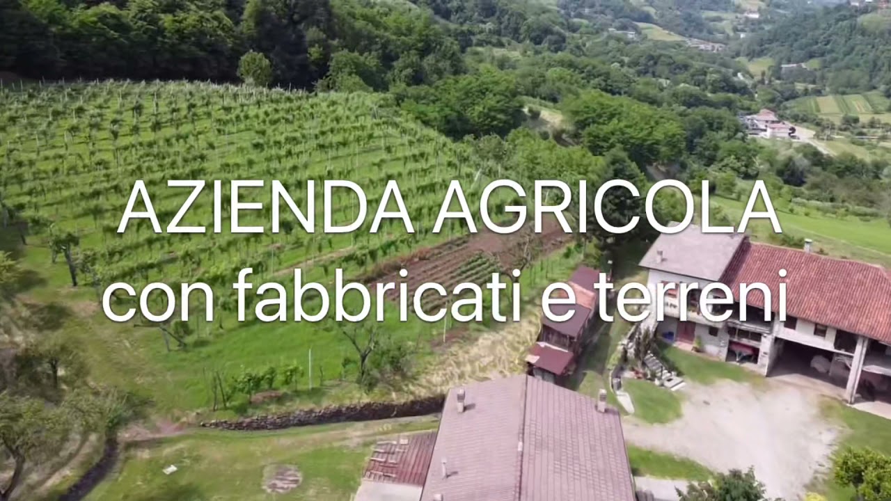 Azienda agricola con vigneti a Fara Vicentino - RETECASA Bolzano Vicentino 0445/874873