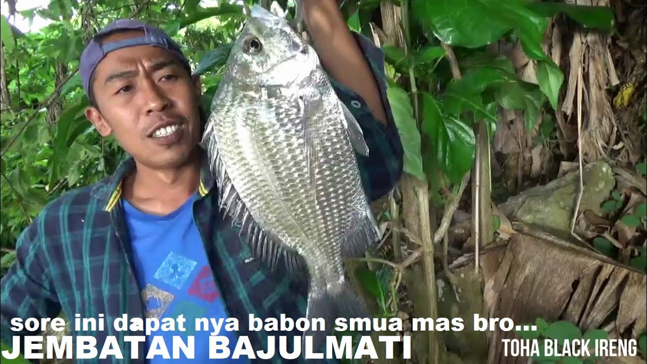 BABON SEMUA mancing sore ini hasil nya... JEMBATAN BAJULMATI
