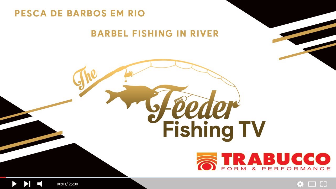 Pesca de Barbos em Rio | Barbel fishing in river