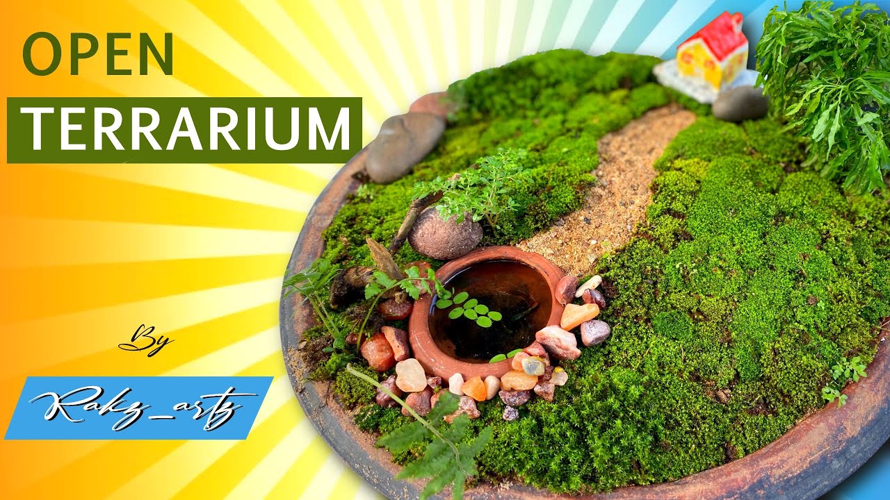 How to make Open Terrarium easily | Beautiful Terrarium Making |