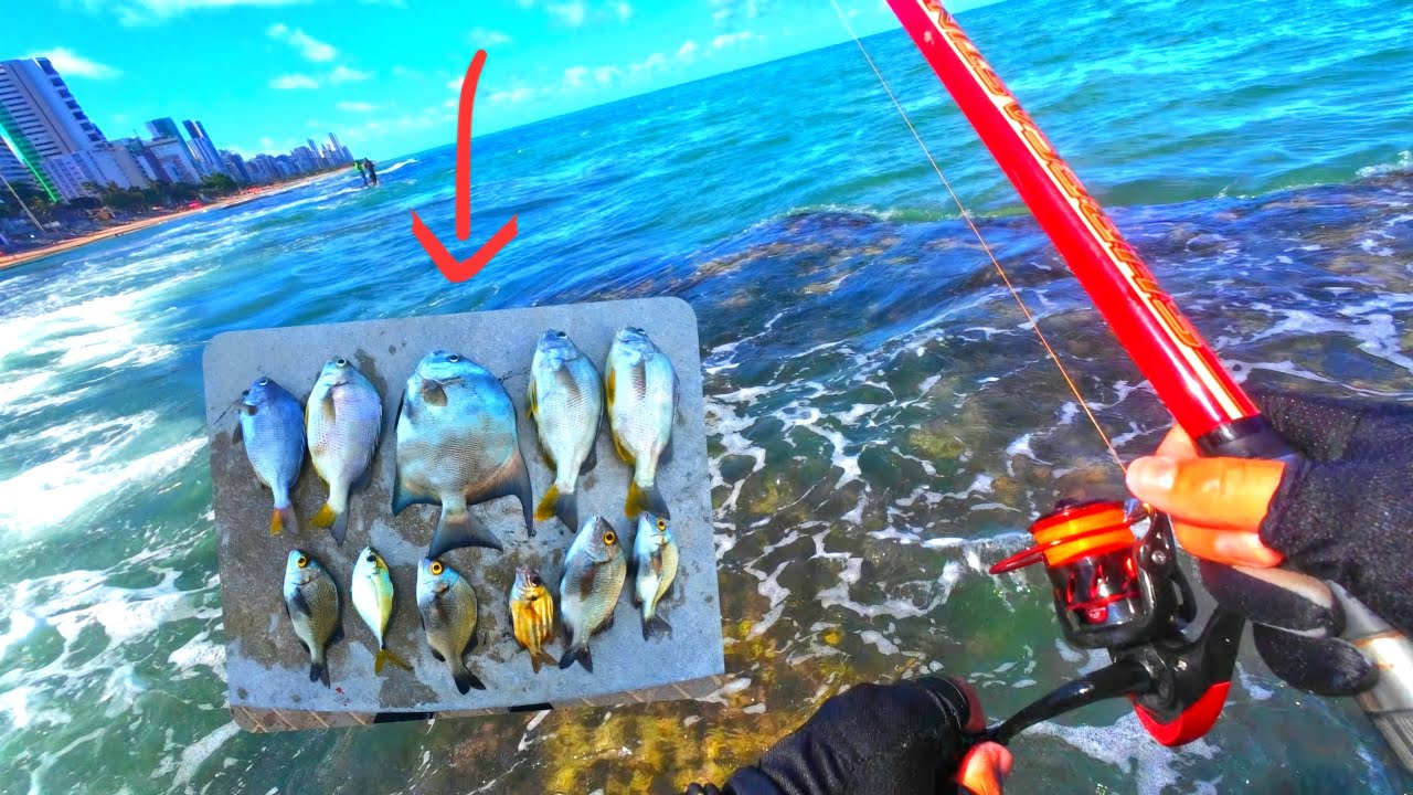 Pescaria nos recifes da praia de Boa viagem, peixe comeu pertinho! #rockfishing