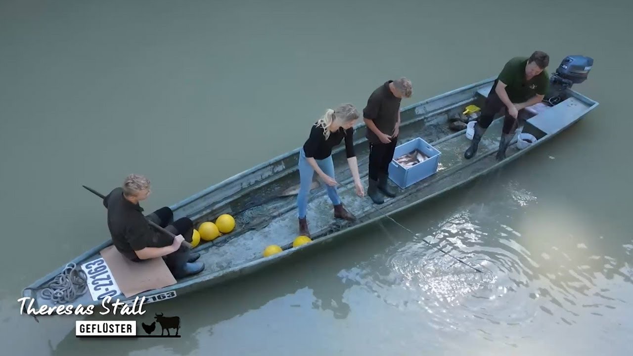 Wie früher: Fischen mit Zille und Netz