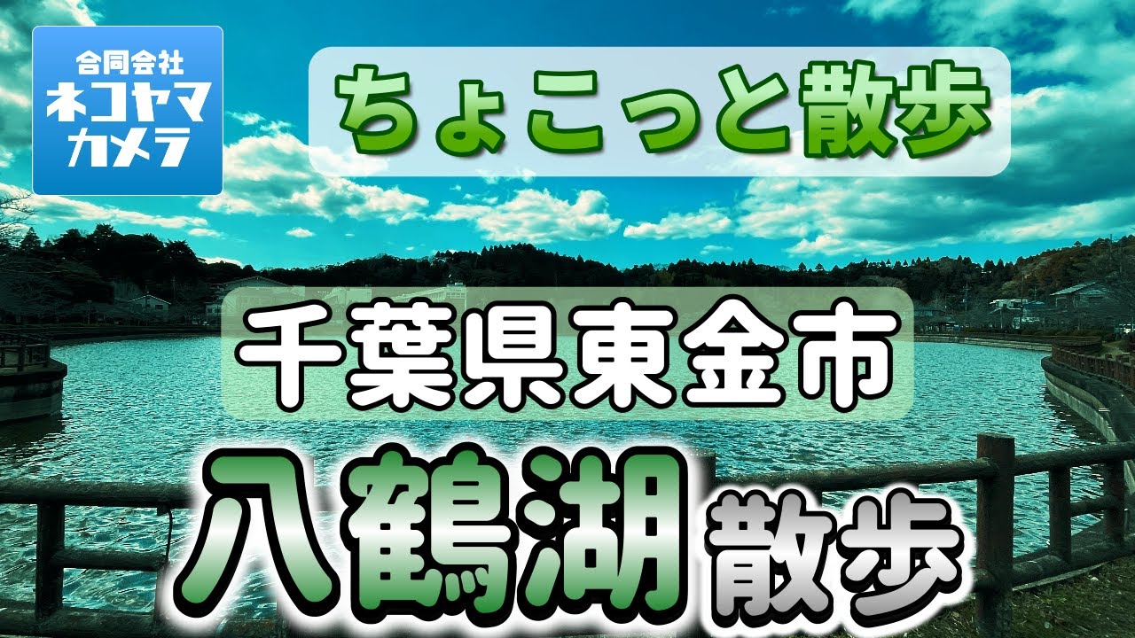 【千葉ちょこっと散歩】東金市の「八鶴湖」をお散歩したよ！歴史と自然の観光名所！パワースポット日吉神社・徳川家康　千葉県東金市　#千葉県 #東金市 #八鶴湖