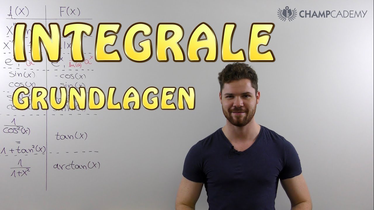 Integralrechnung Grundfunktionen