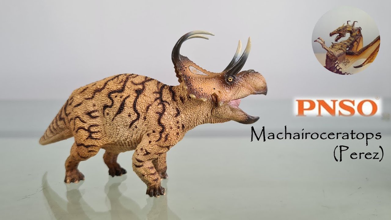 #91 PNSO 2020 Machairoceratops (Perez) Review