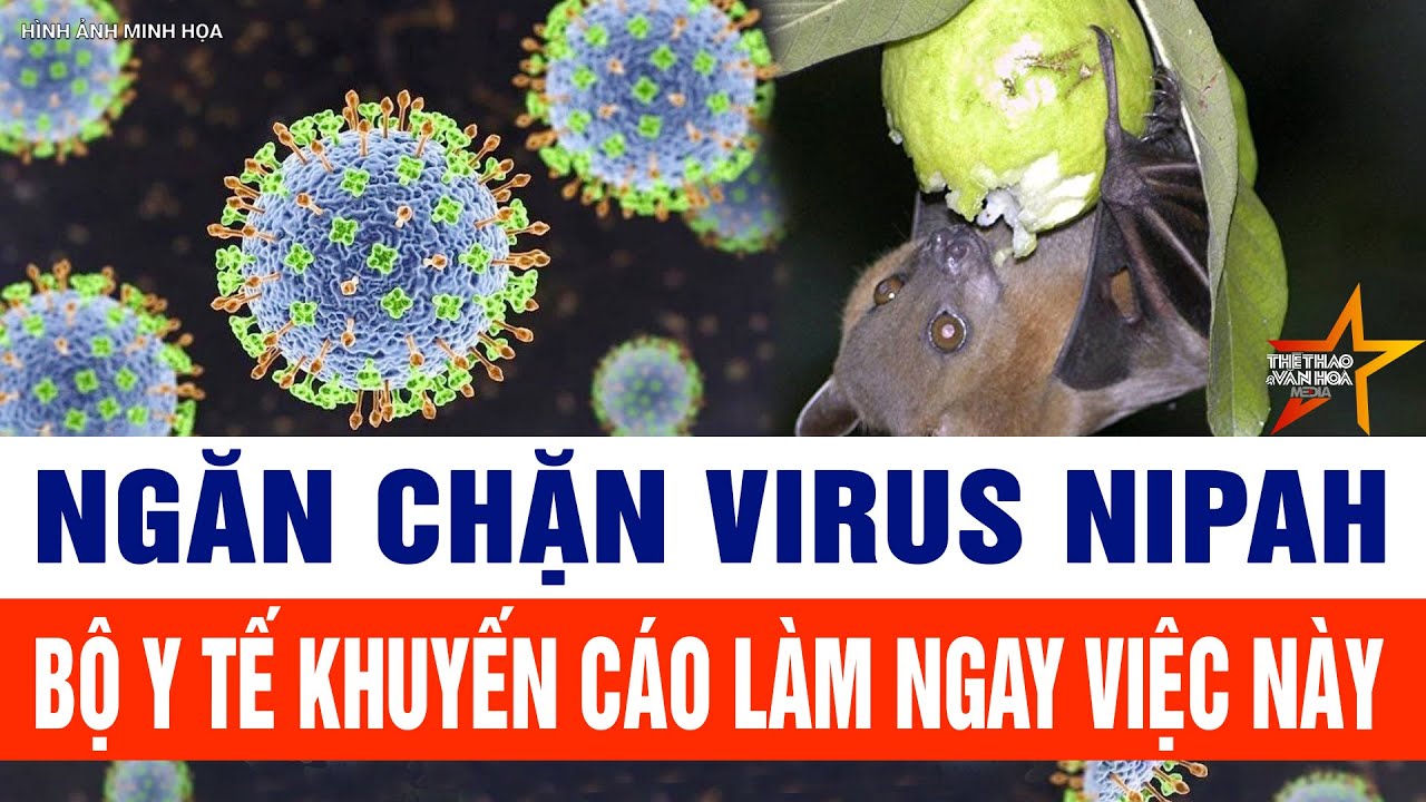 Ngăn chặn Virus Nipah: Bộ Y tế khuyến cáo làm ngay việc này