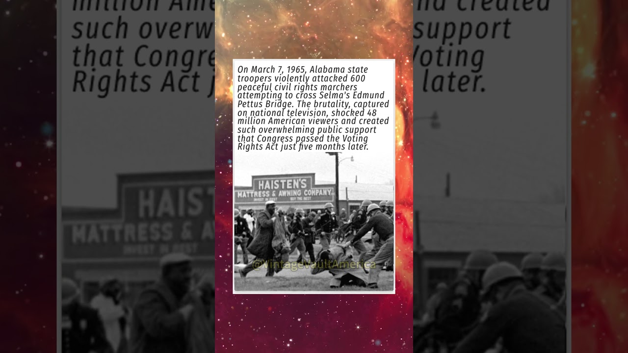 The Bridge That Broke America's Conscience: 600 Marchers, 48 Million Witnesses