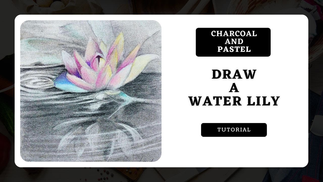 How to Draw a Water Lily with Charcoal and Pastel