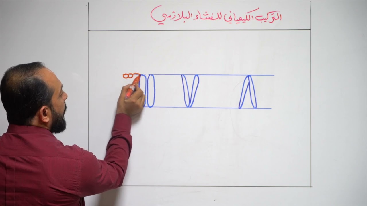 تعلم كيف ترسم الغشاء البلازمي