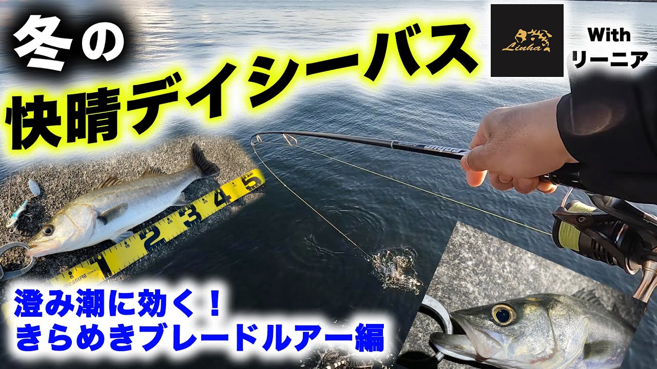 冬の快晴デイシーバス！ - 澄み潮に効く！きらめきブレードルアー編 - リーニア フィッシングバッグ タイタン 第二章
