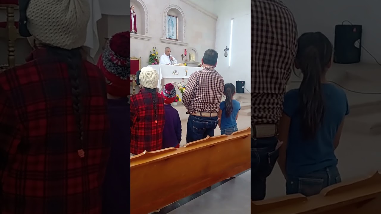 video 1
