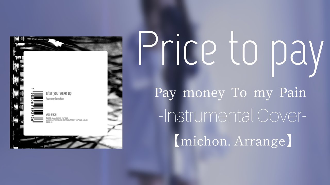 Price to pay - Pay money To my pain【Instrumental Cover】
