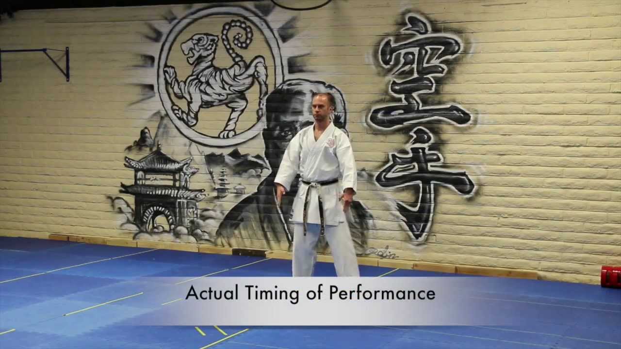 Taikyoku Shodan. Kata.