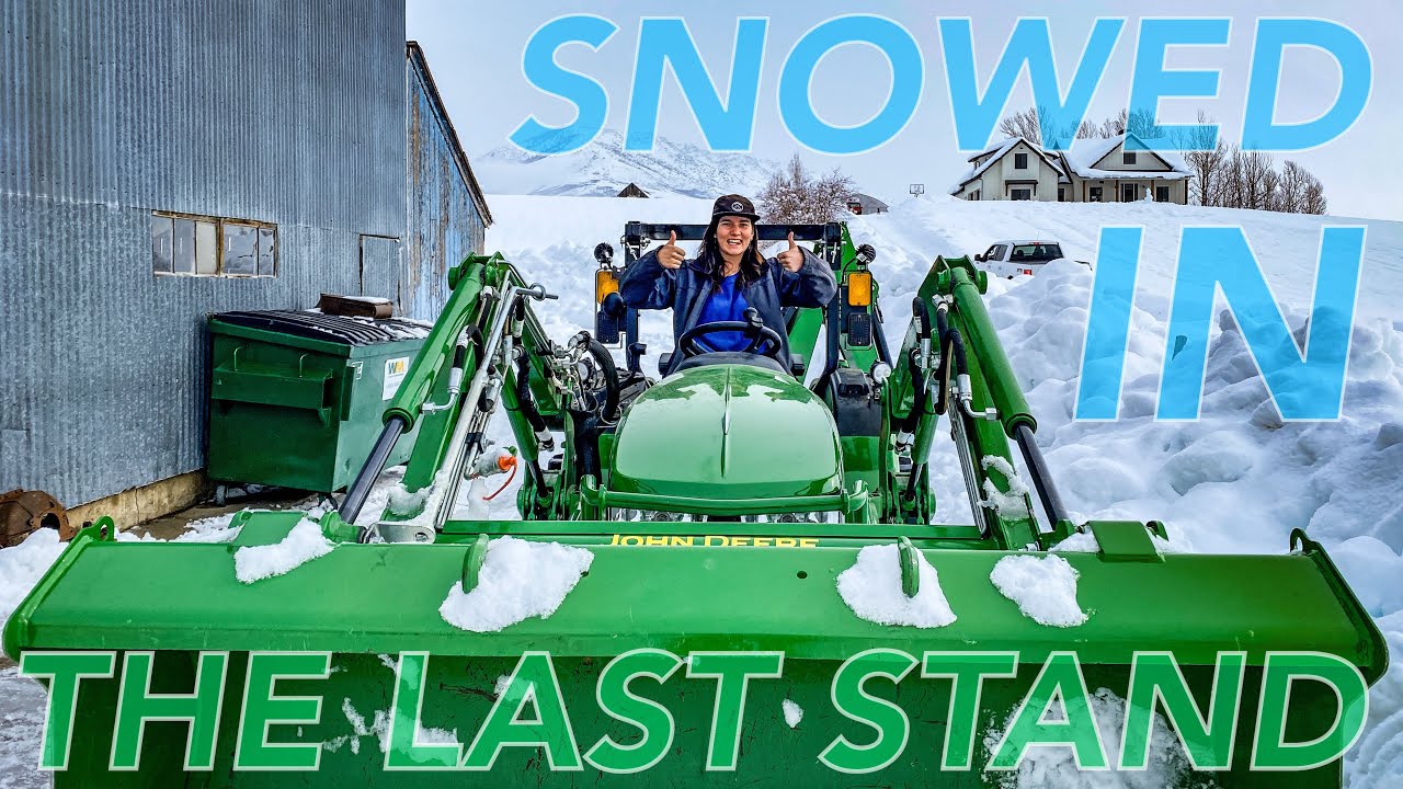 ❄️ SNOWED IN! Part 5 of 5 Days Digging Out The Farm With The John Deere 2038R & 140 Tractors