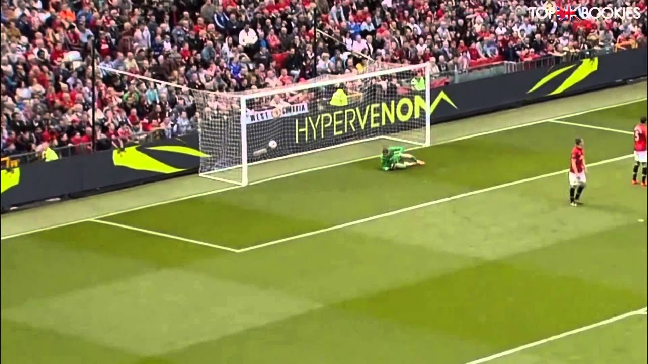 Sebastian Larsson Goal vs Manchester United