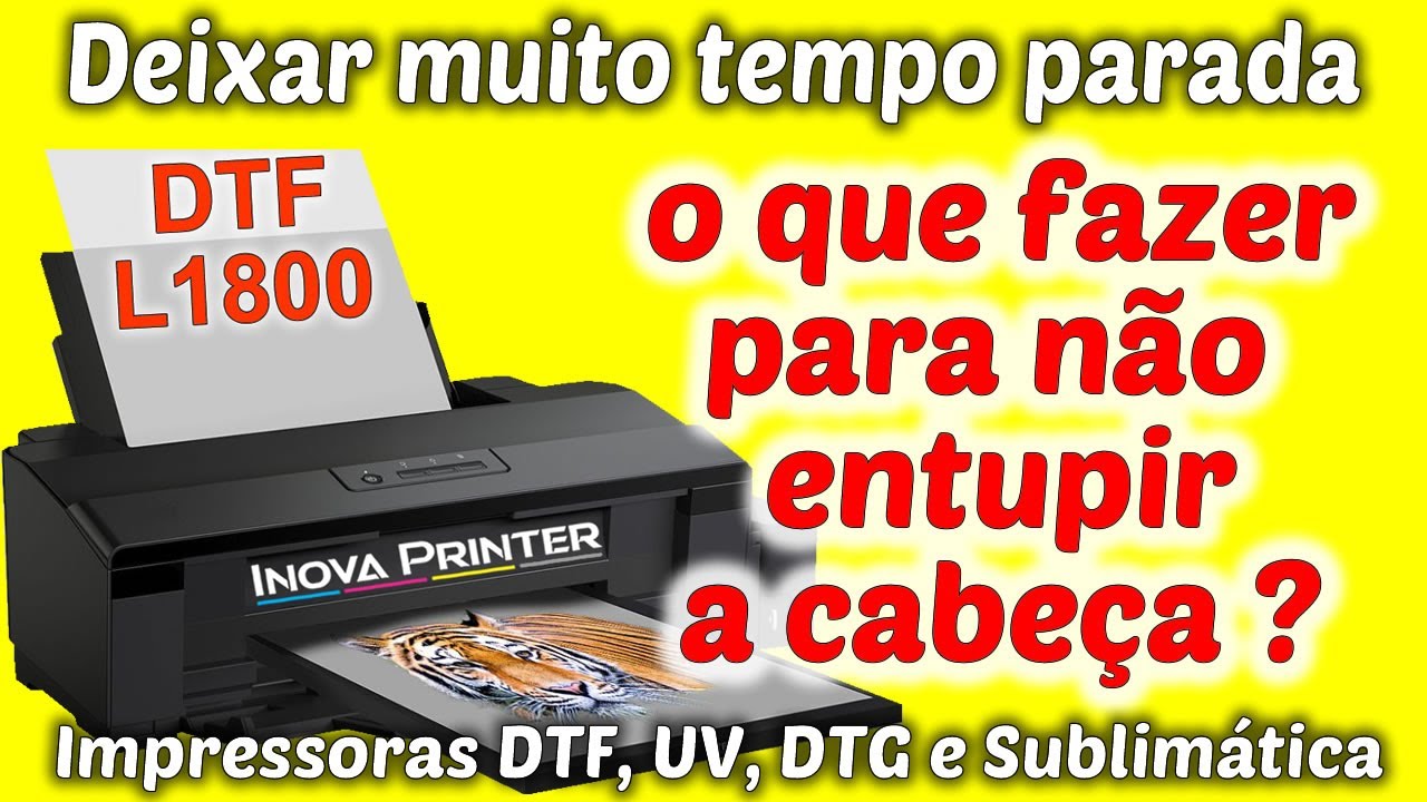 Férias - Limpando sistema de tinta e cabeça de impressão para não entupir!