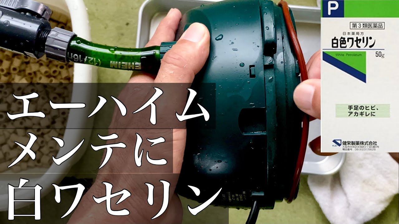 エーハイム　メンテナンスにワセリンを是非使いましょう。　＃エーハイム　＃外部フィルター　＃アクアリウム