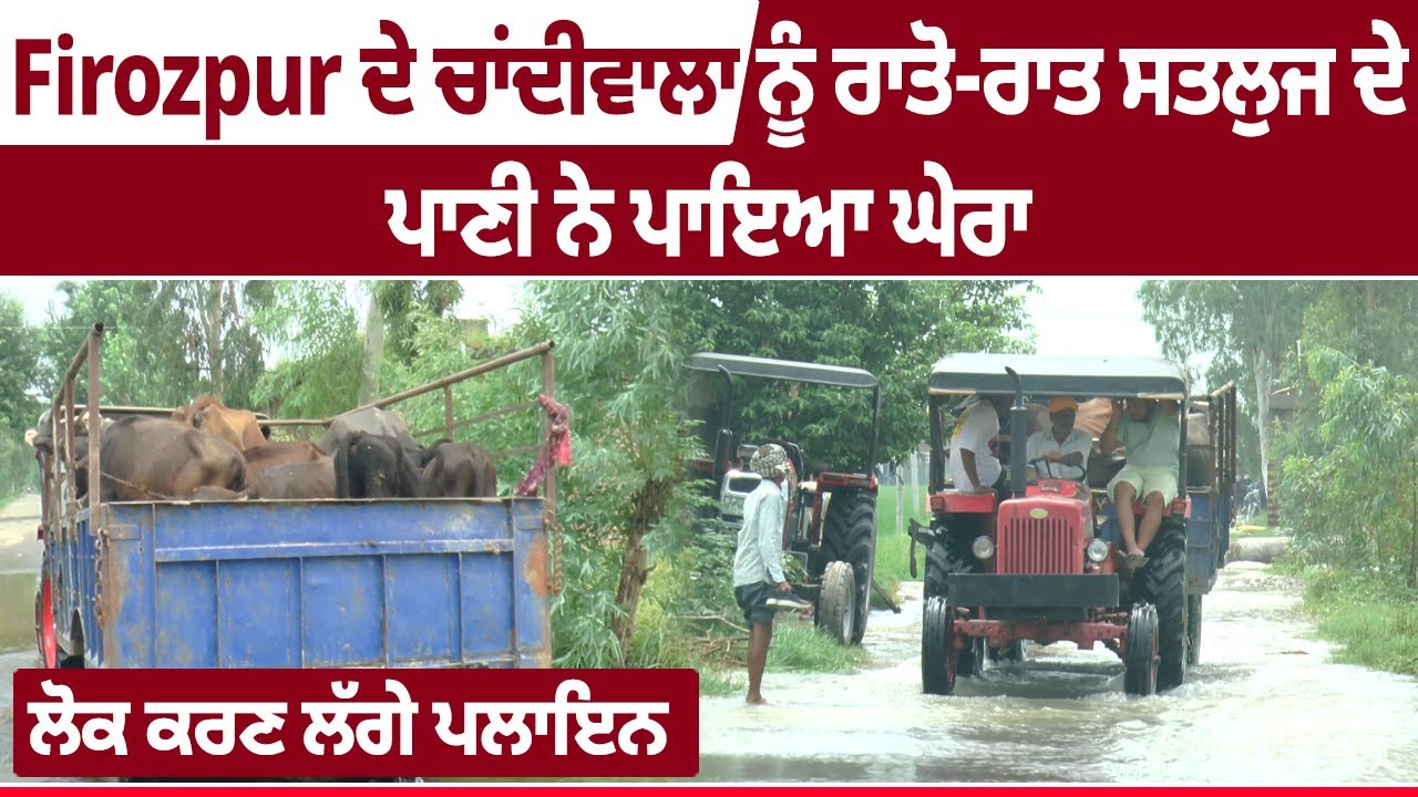 Firozpur ਦੇ ਚਾਂਦੀਵਾਲਾ ਨੂੰ ਰਾਤੋ ਰਾਤ ਸਤਲੁਜ ਦੇ ਪਾਣੀ ਨੇ ਪਾਇਆ ਘੇਰਾ, ਲੋਕ ਕਰਣ ਲੱਗੇ ਪਲਾਇਨ