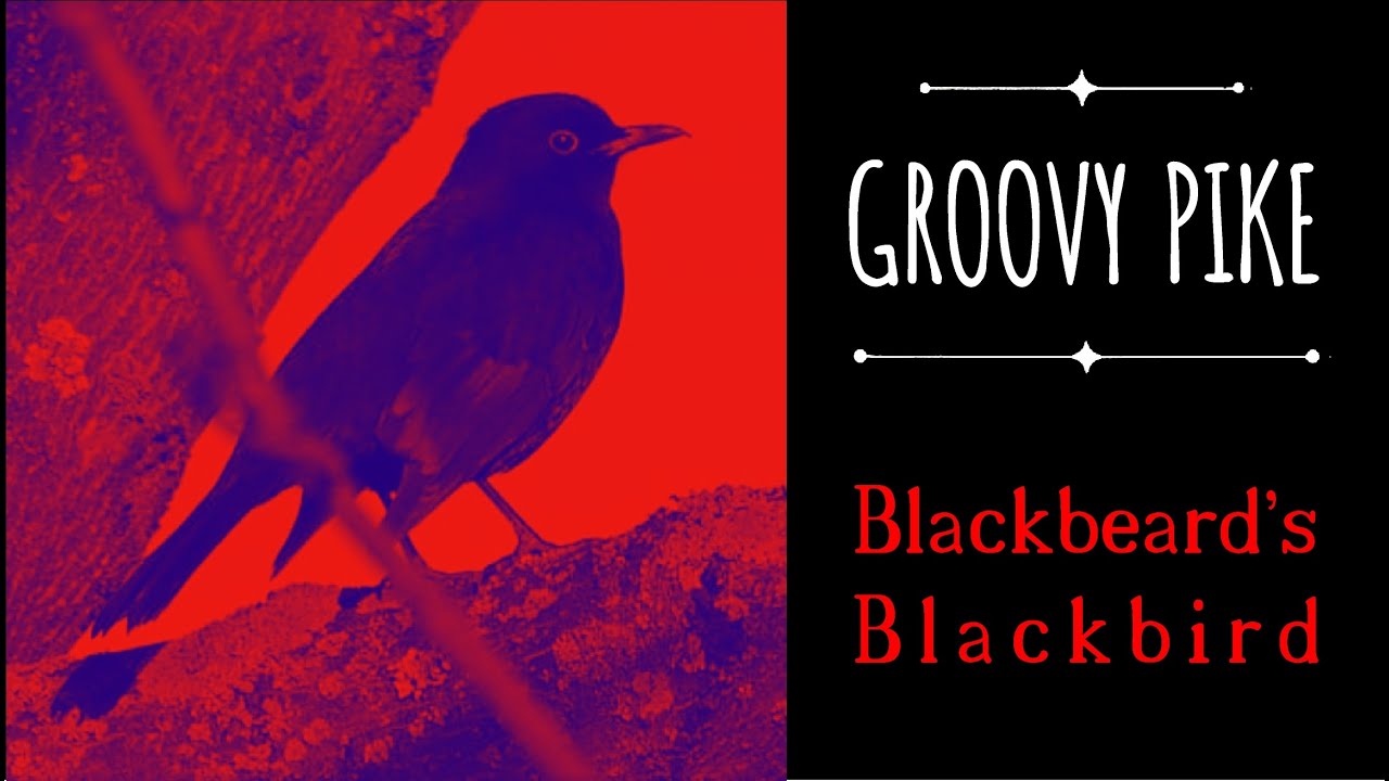 Groovy Pike - Blackbeard's Blackbird