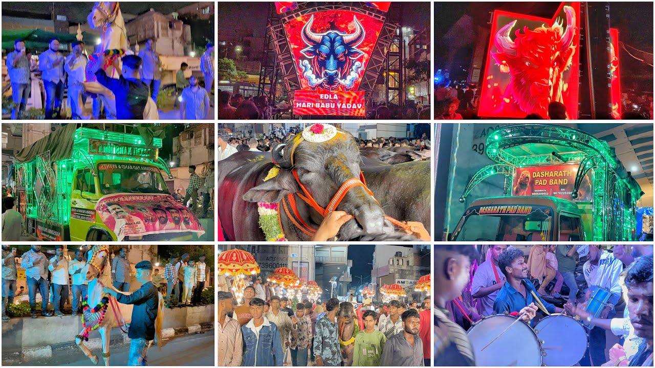 Musheerabad Edla Hari Babu Yadav Sadar 2025 Full Video Grand Celebration At Narayanguda Sadar￼