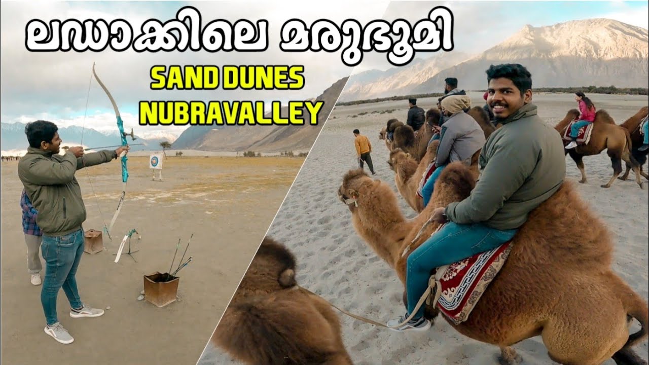 [Ep17] ലഡാക്കിലെ മരുഭൂമി കണ്ടിട്ടുണ്ടോ🔥| Activities in Nubra Valley Ladakh | Sand Dunes in Hunder