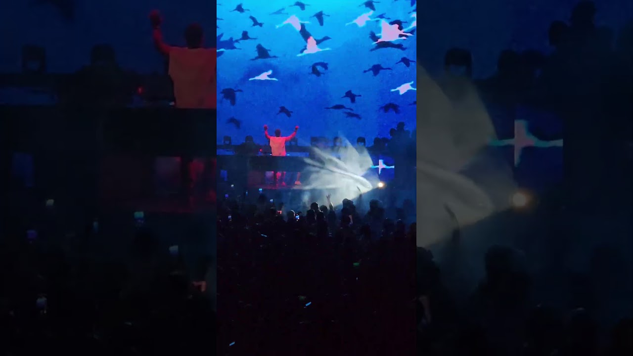 Esse som do Vintage Culture é bom demais 
