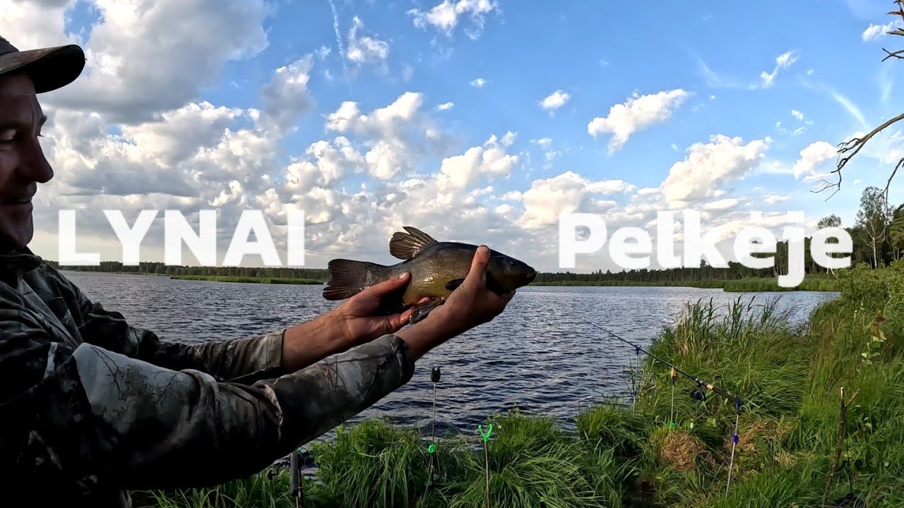 LYNŲ Žvejyba Vidurvasarį, Rytiniai Lynai Bei Žvejyba Per NAKTĮ Pelkėje