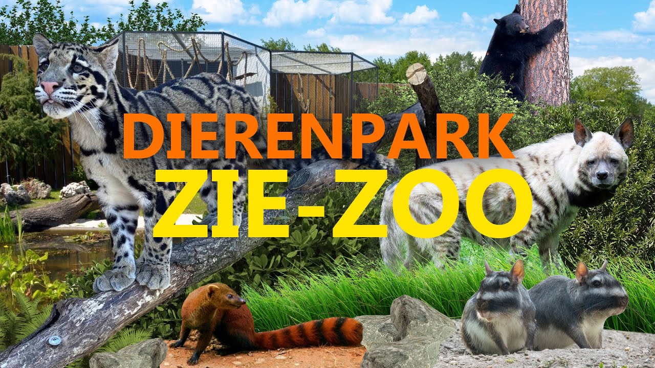 Dierenpark Zie-ZOO | Zoo-Eindruck