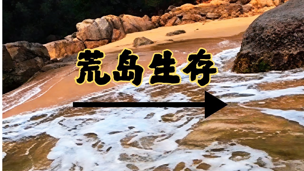 荒岛生存挑战！已到第 14 天，极限户外求生继续坚守🌴# 野外生存 #流浪 #户外 #荒岛生存