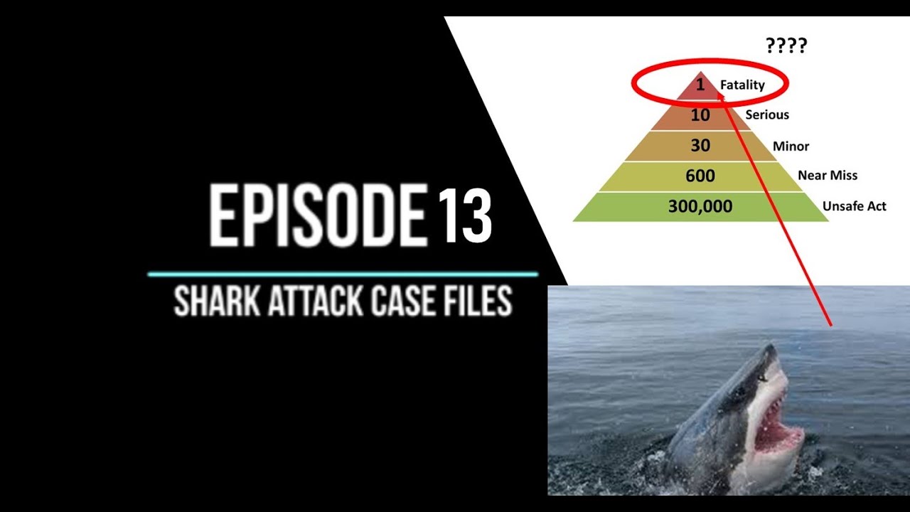 Episode 13 - Shark Attack Case Files - Most Unlucky Luckiest Great White Shark Attack Ever!