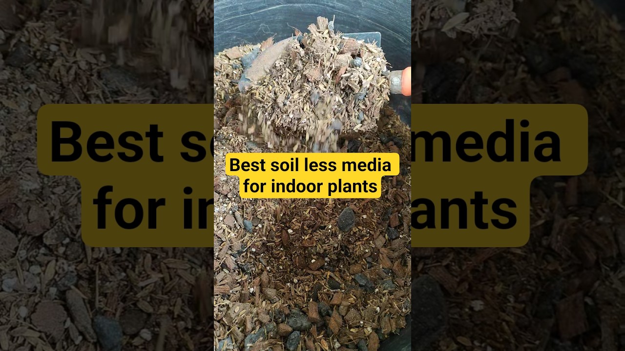 Best soil less media for indoor plants | How to make well draining soil for plants