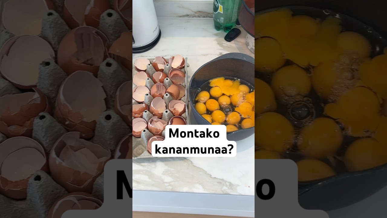 Montako kananmunaa sy&ouml;t? #ruoka #ruokareseptit #kuntosali #treeni #suomikanava #suomi #gym #dieetti